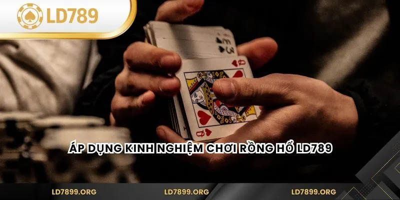 Áp dụng kinh nghiệm chơi rồng hổ LD789