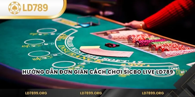 Sicbo Live LD789 – Game Xúc Xắc Trực Tuyến Kịch Tính Hướng dẫn đơn giản cách chơi Sicbo Live LD789