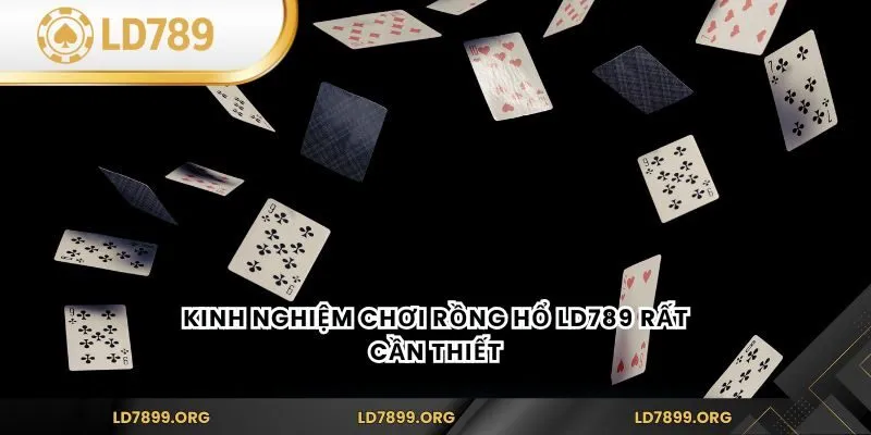 Kinh nghiệm chơi rồng hổ LD789 rất cần thiết