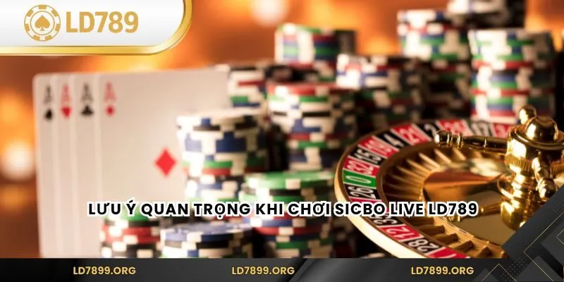 Sicbo Live LD789 – Game Xúc Xắc Trực Tuyến Kịch Tính Lưu ý quan trọng khi chơi Sicbo Live LD789