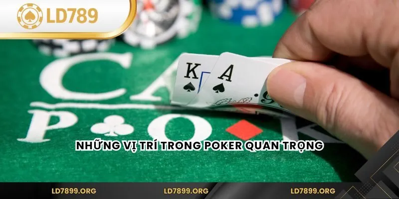 Những vị trí trong Poker quan trọng