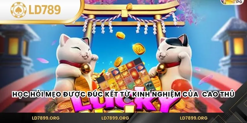 Học hỏi mẹo được đúc kết từ kinh nghiệm của các cao thủ