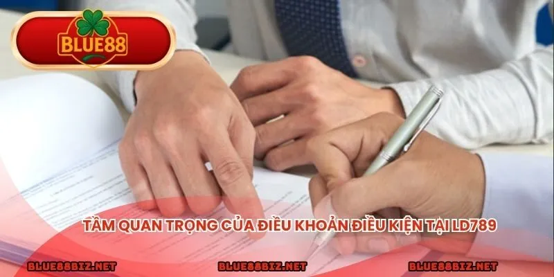 Tầm quan trọng của điều khoản điều kiện tại LD789