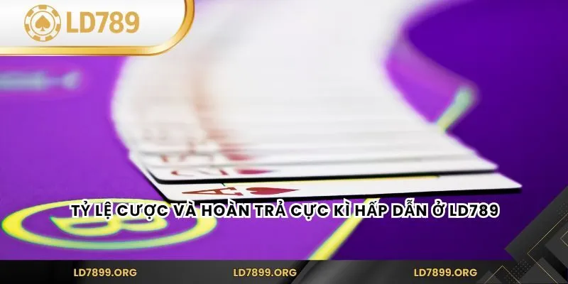 LD789 | LD789.COM - Link Vào Nhà Cái LD789 Mới Nhất 2026 Tỷ lệ cược và hoàn trả cực kì hấp dẫn ở LD789