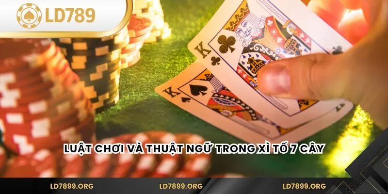 Luật chơi và thuật ngữ trong xì tố 7 cây